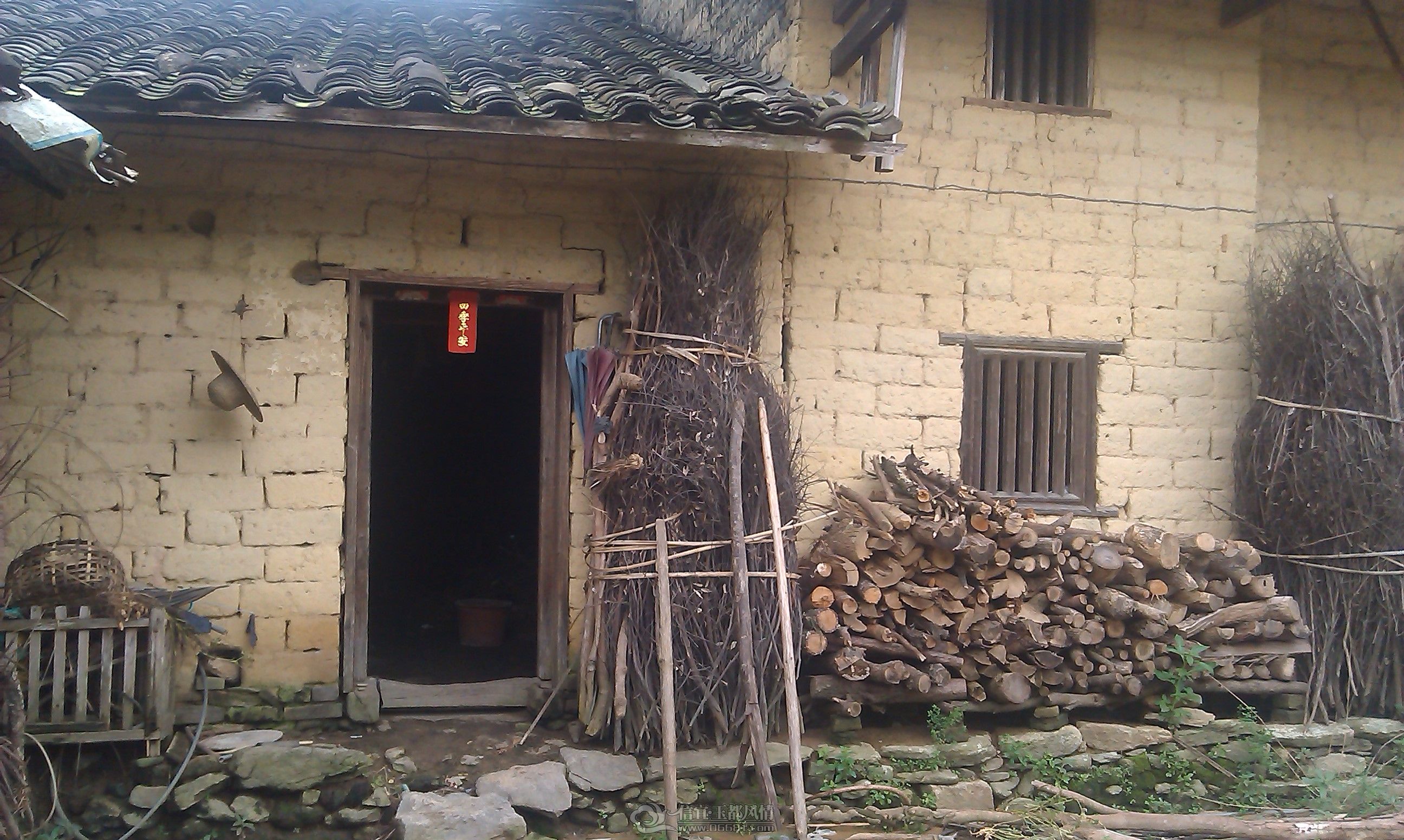 IMAG0284.jpg