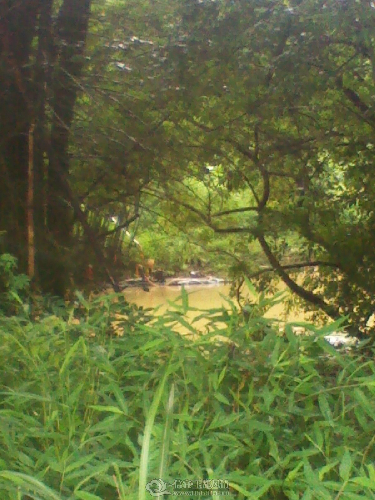 IMG_20120625_110822.jpg