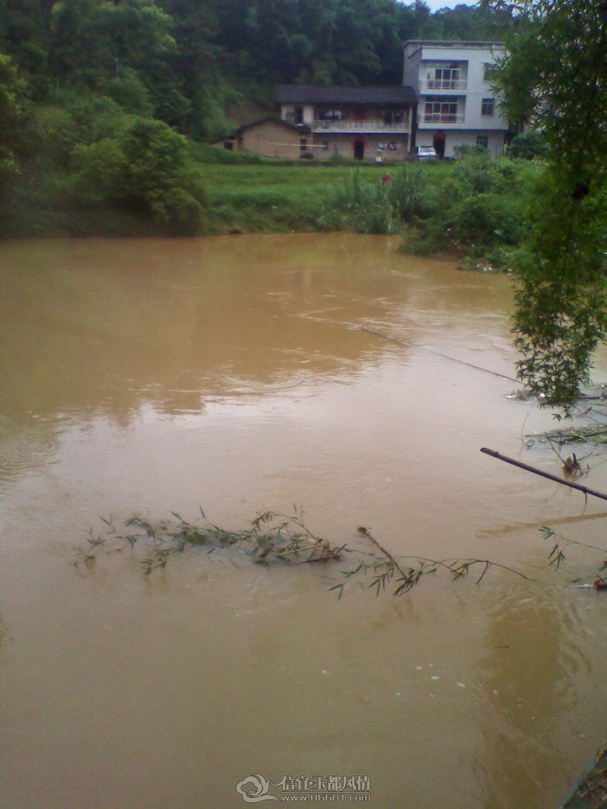 IMG_20120625_110230.jpg