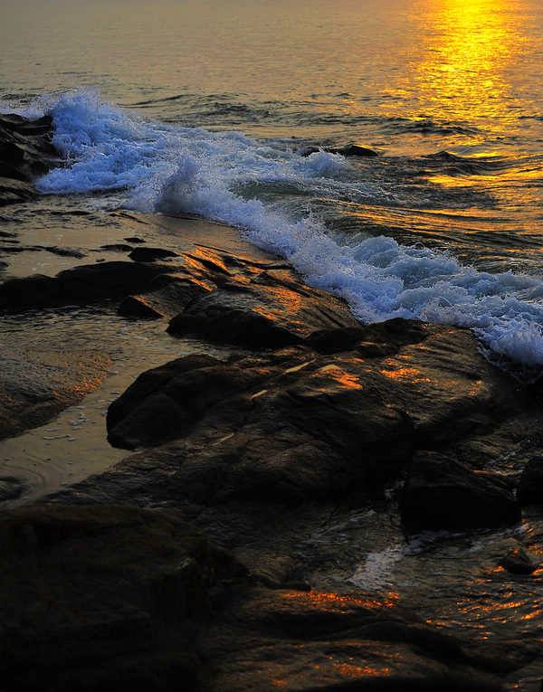 _DSC3248-1.jpg
