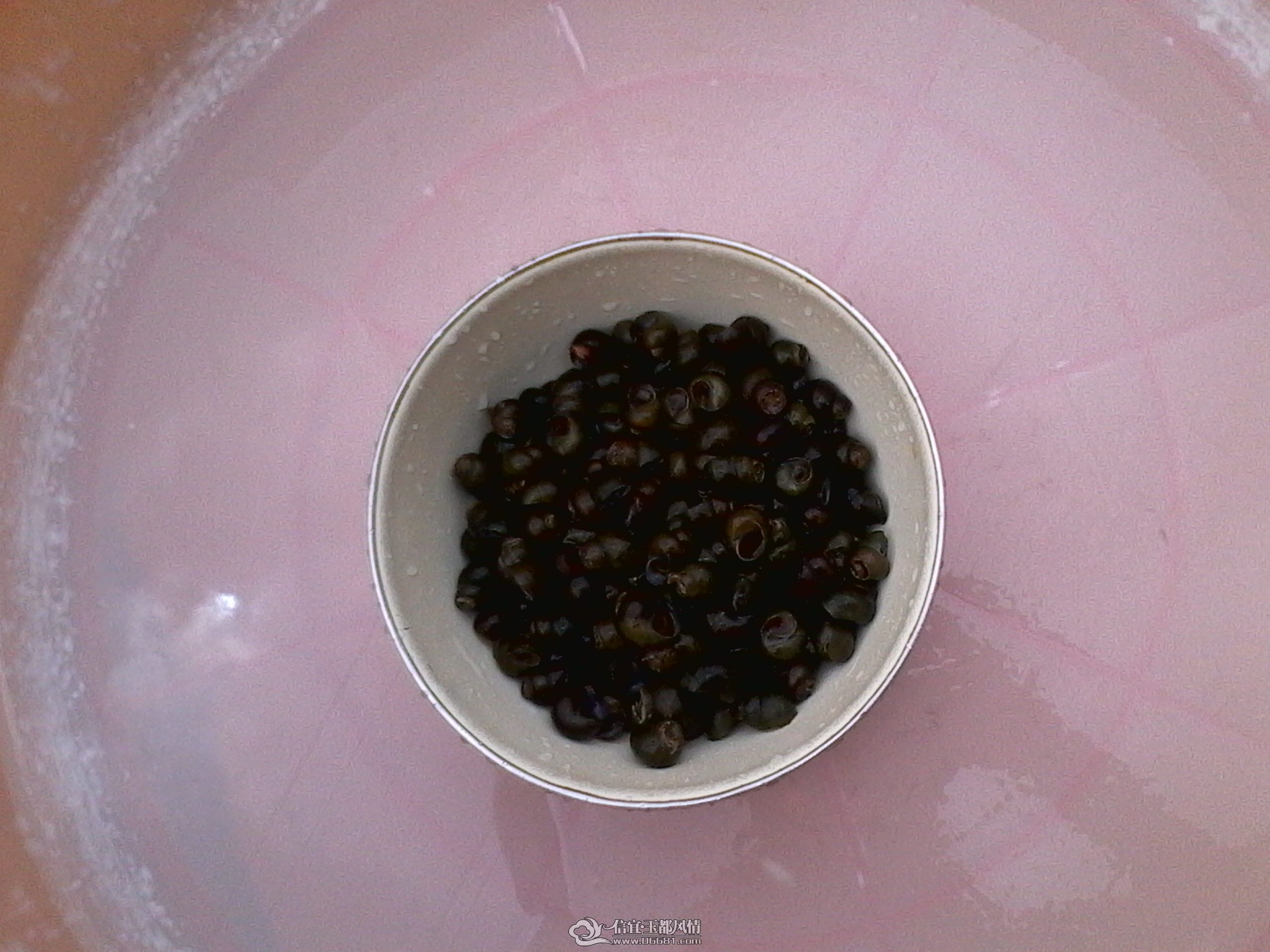 IMG_20120624_112930.jpg
