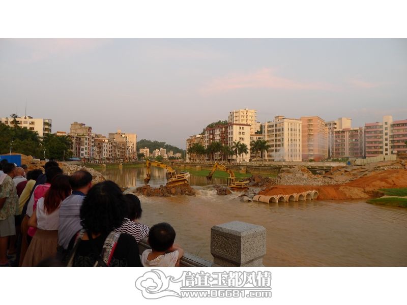 P1000878(001).jpg