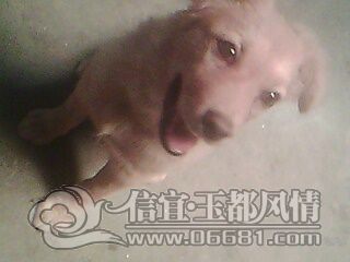IMG0769A.jpg