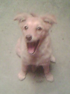 IMG0761A.jpg