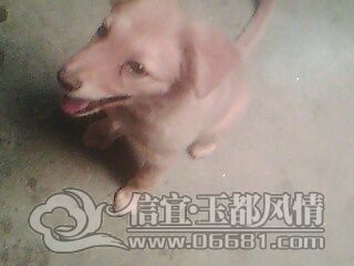 IMG0768A.jpg