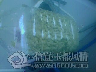 IMG0833A.jpg