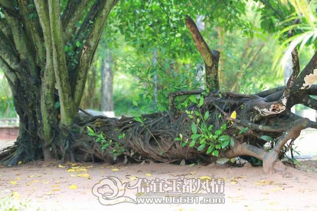 IMG_0868.JPG