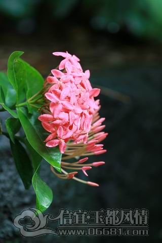 IMG_0898.JPG