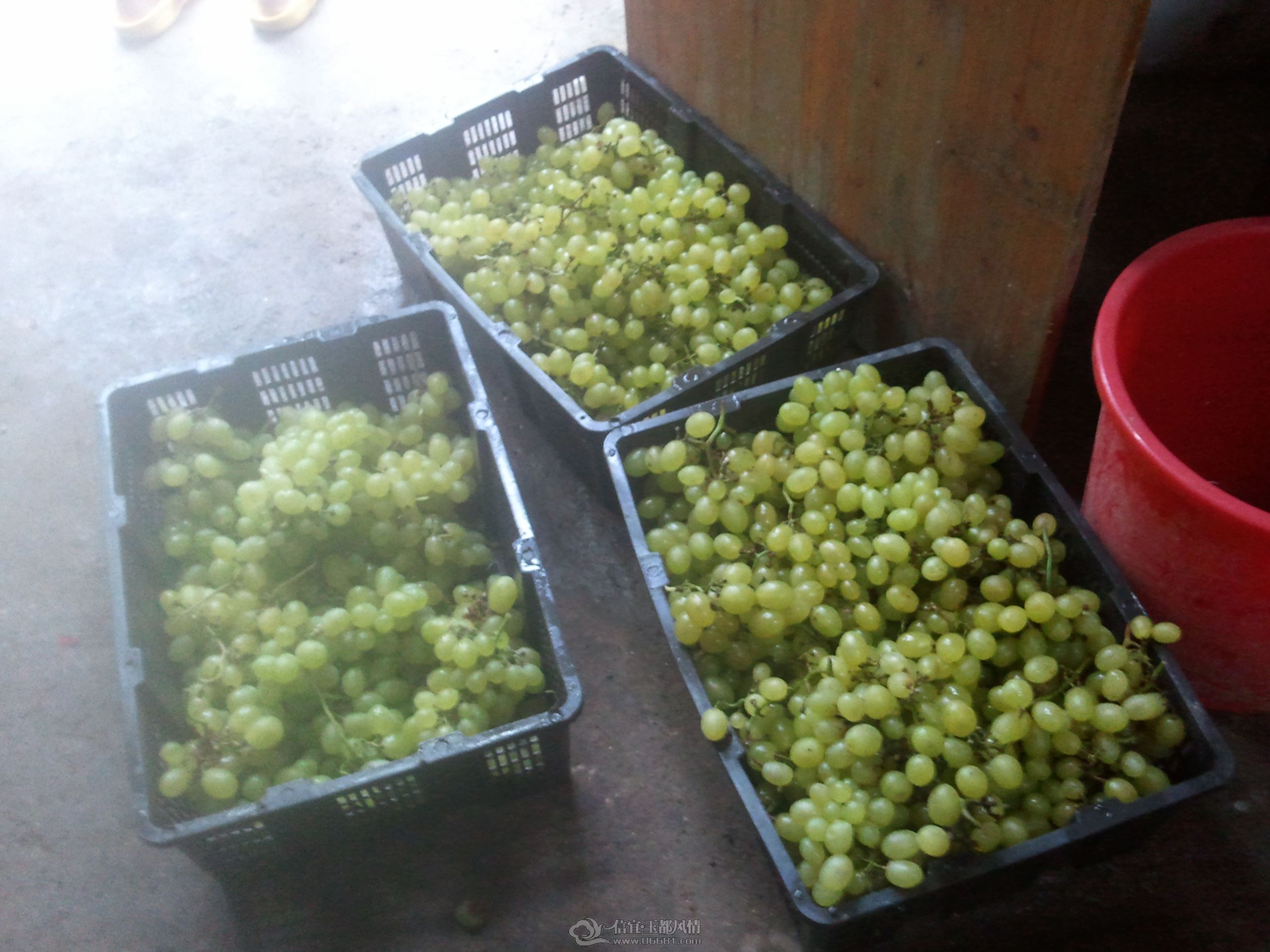 2012-06-30 09.32.00.jpg