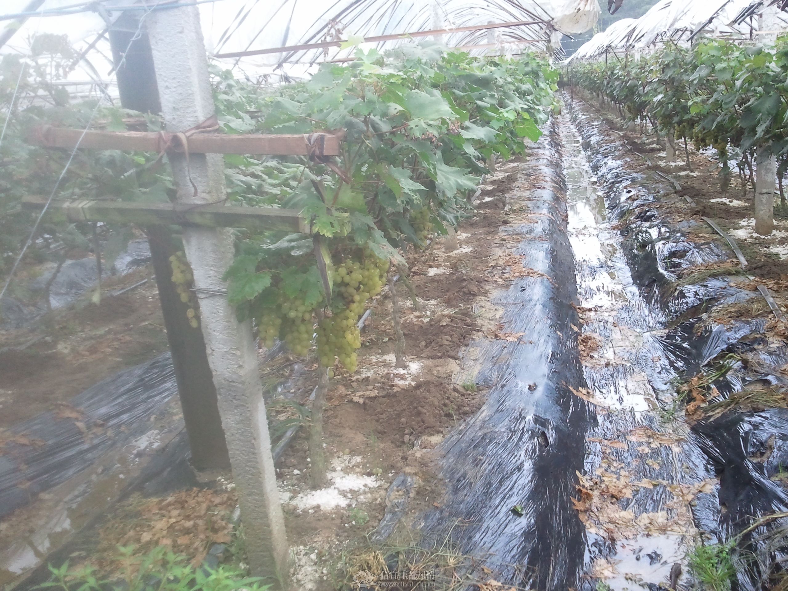 2012-06-30 09.53.17.jpg