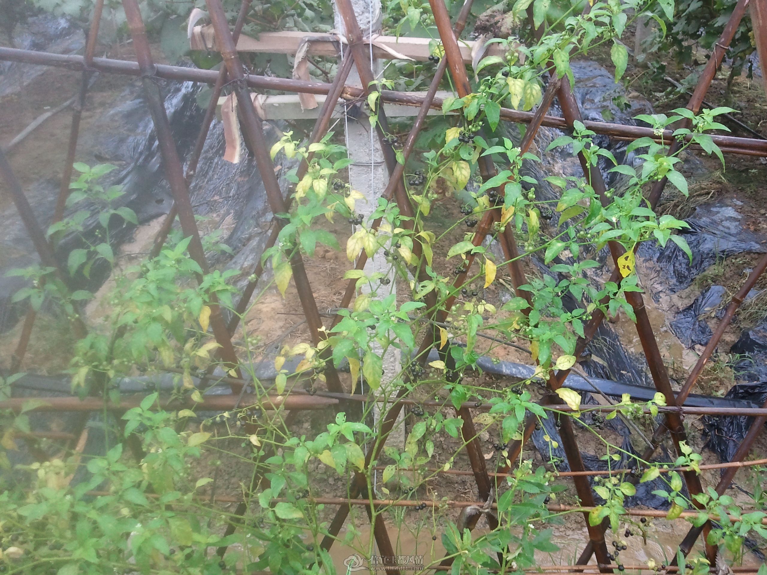 2012-06-30 10.10.41.jpg