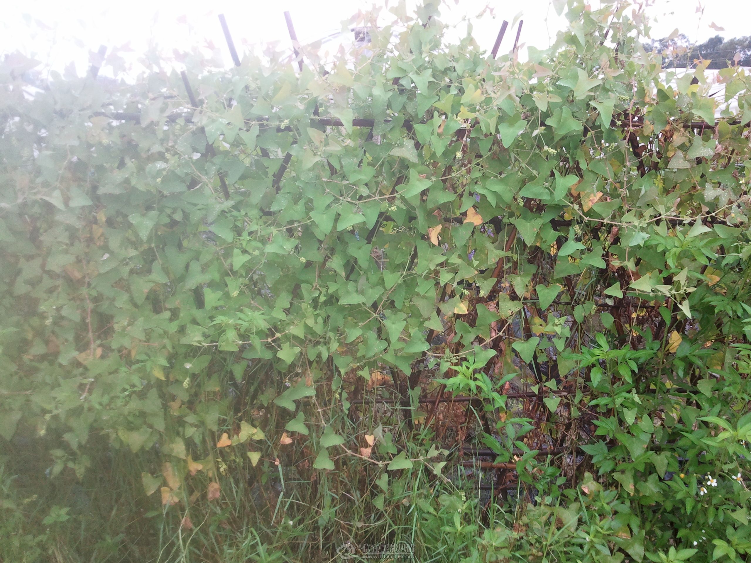 2012-06-30 10.11.03.jpg