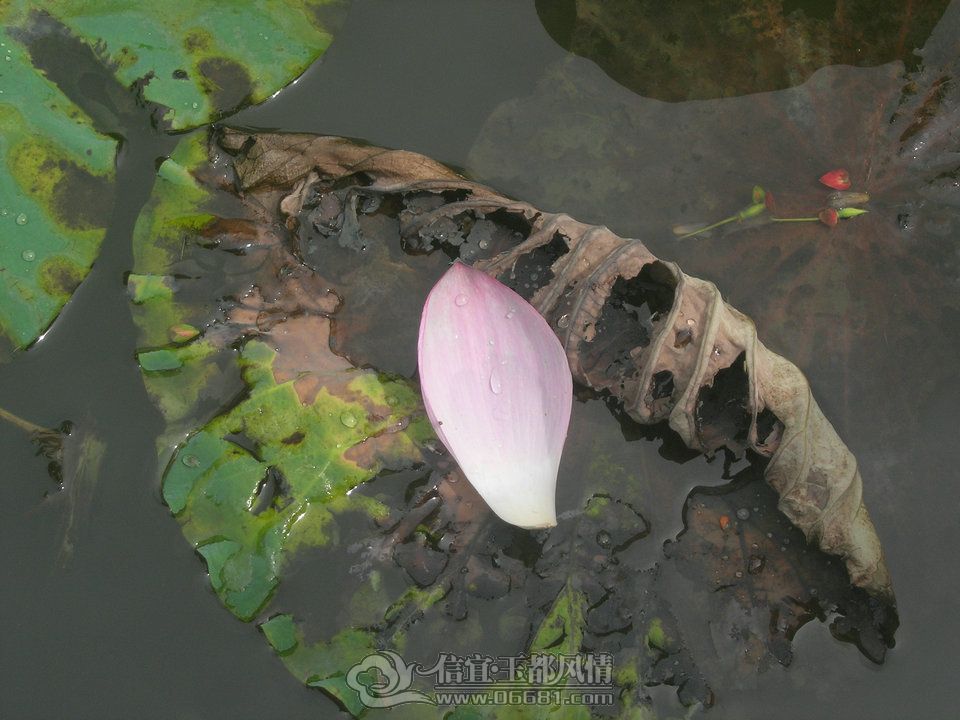 DSCN9771.JPG