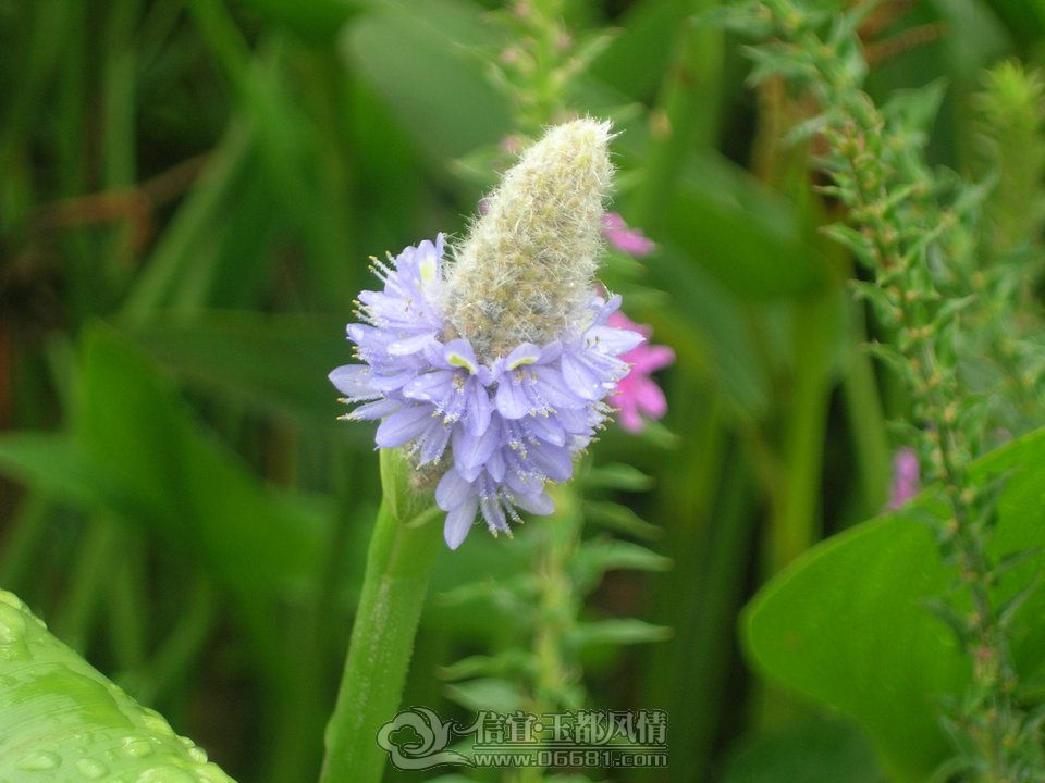 DSCN9786.JPG