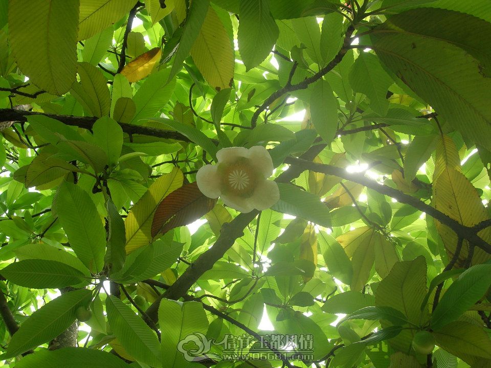 DSCN9788.JPG