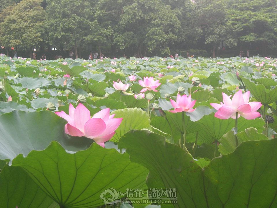DSCN9790.JPG
