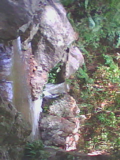 DSC_0000044.jpg