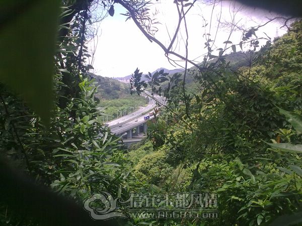 201207014644.jpg