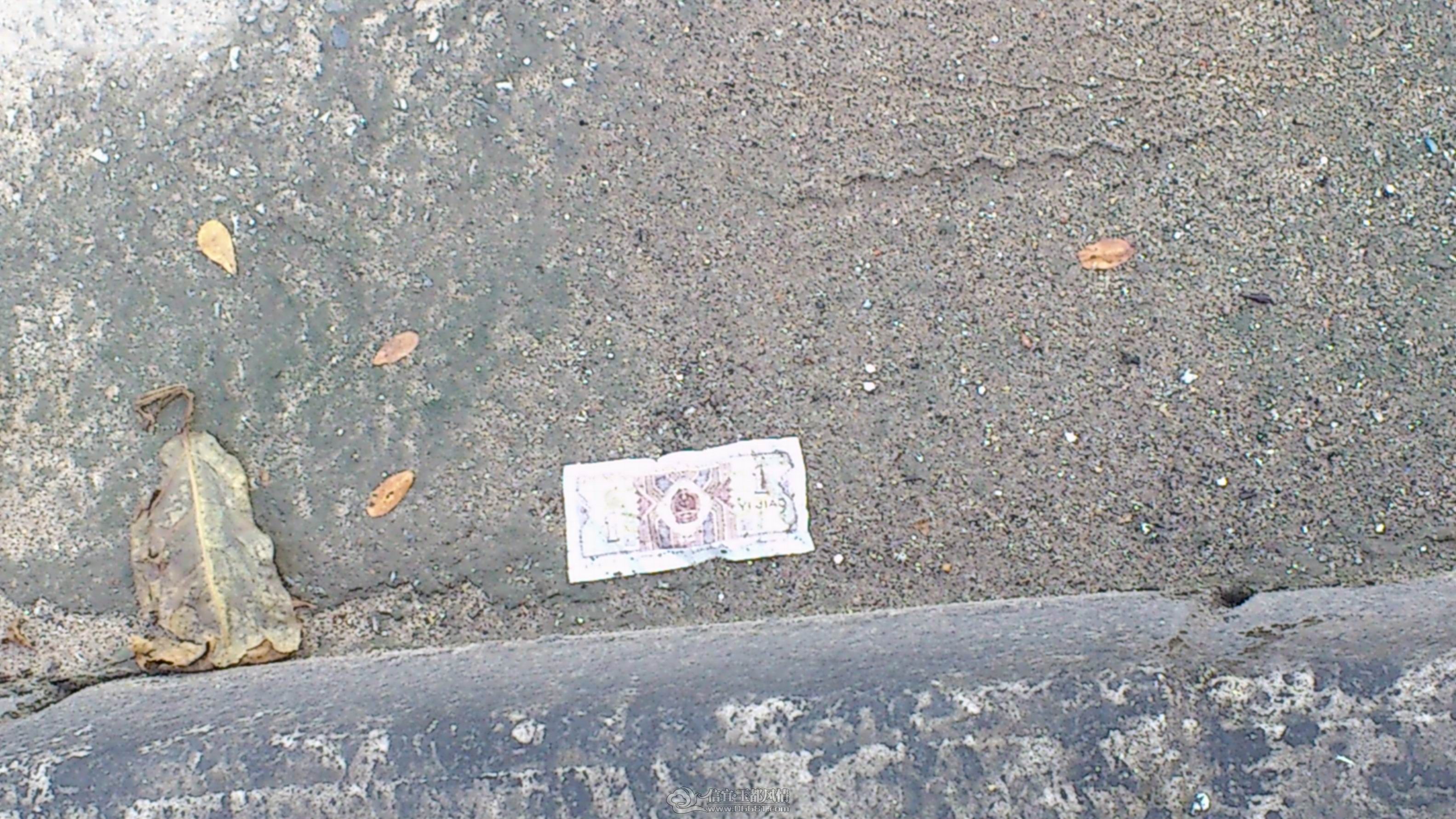 DSC_0015.JPG