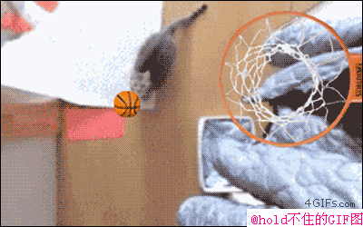 98199617_69071866_middle.gif