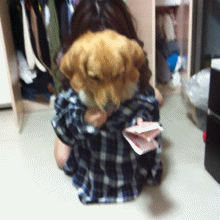 ����Ǯ.gif