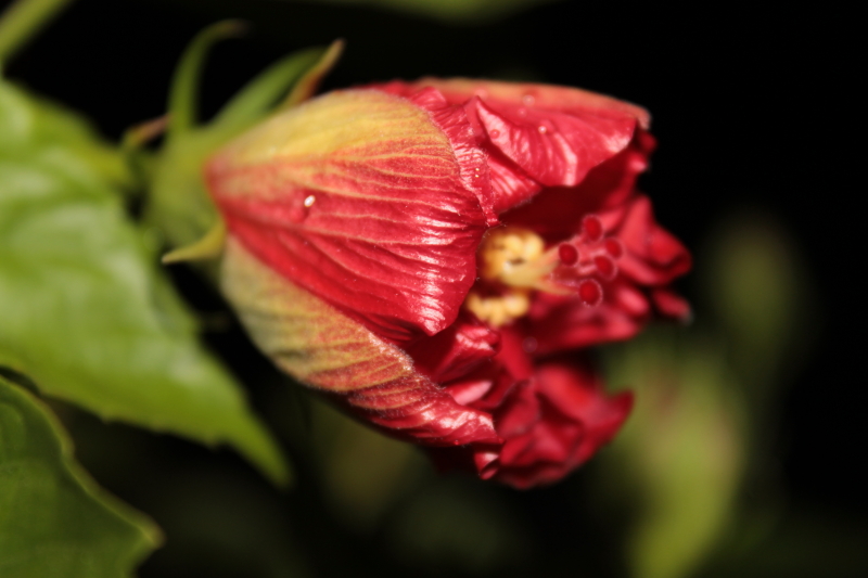 DPP_0030.JPG