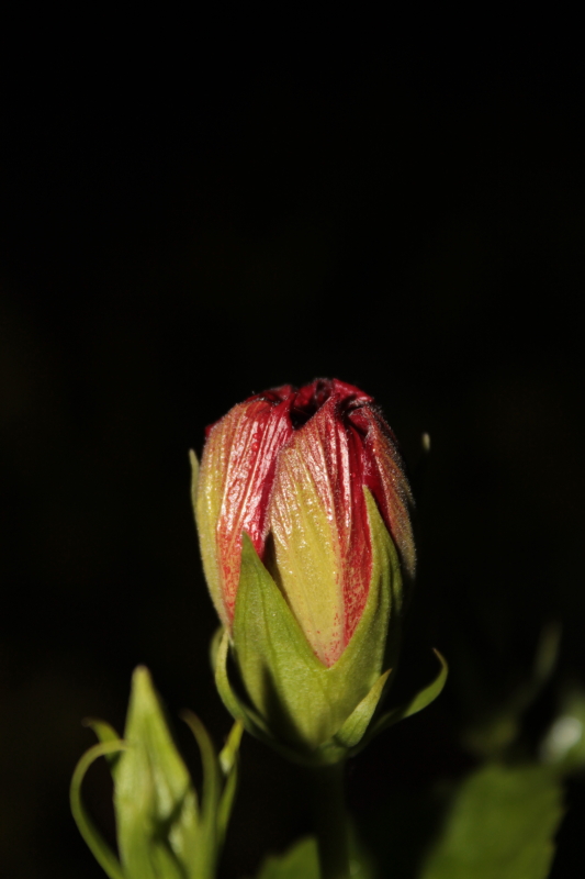 DPP_0037.JPG