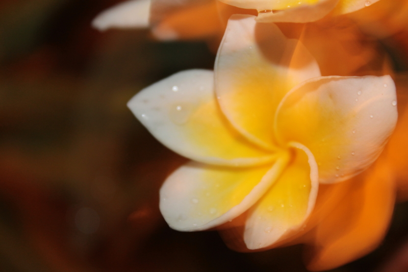 DPP_0020.JPG