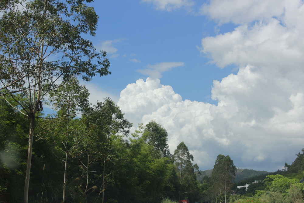 _MG_9064.JPG