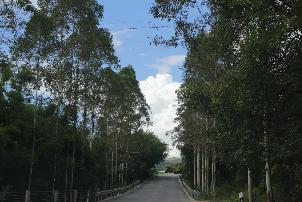 _MG_9078.JPG