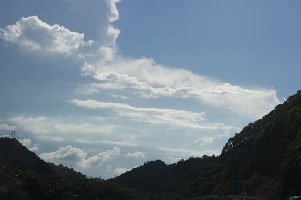 _MG_9093.JPG