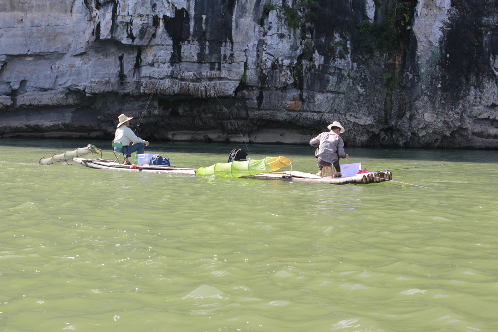 _MG_9288.JPG