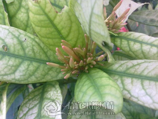 201207014613.jpg