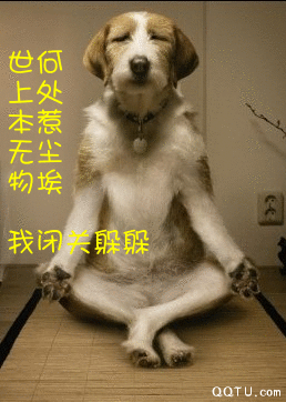 74865.gif
