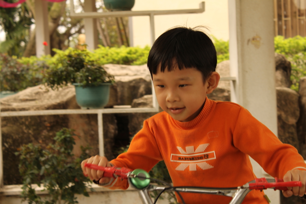 DPP_0029.JPG