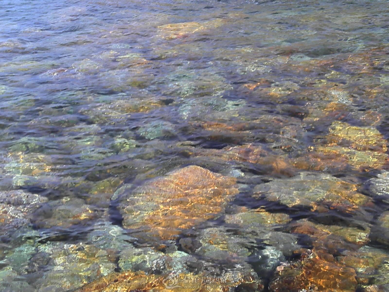 Camera_20120711_155542.jpg