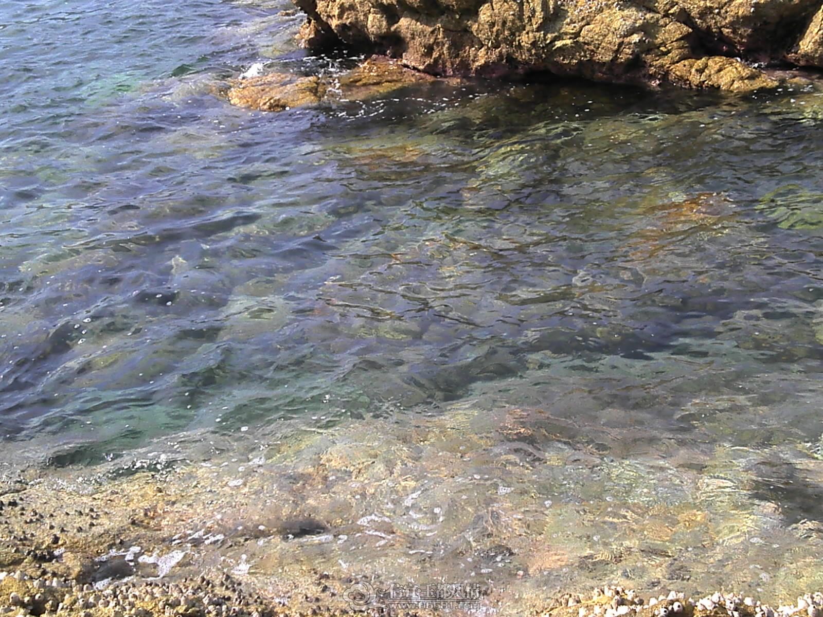 Camera_20120711_155512.jpg