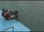 2cf5e0fe9925bc31ed33dddd5edf8db1cb13700d.gif