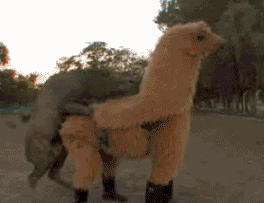 0824ab18972bd4073b3935b97b899e510eb309f3.gif