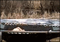 b90e7bec54e736d1d0cf3bb39b504fc2d46269a9.gif