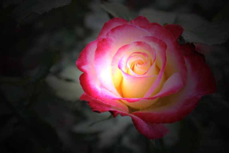 psDPP_0024[1]����.jpg