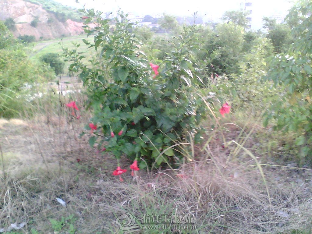 IMG_0299.JPG