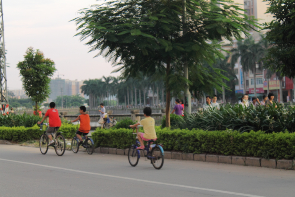 DPP_0104.JPG