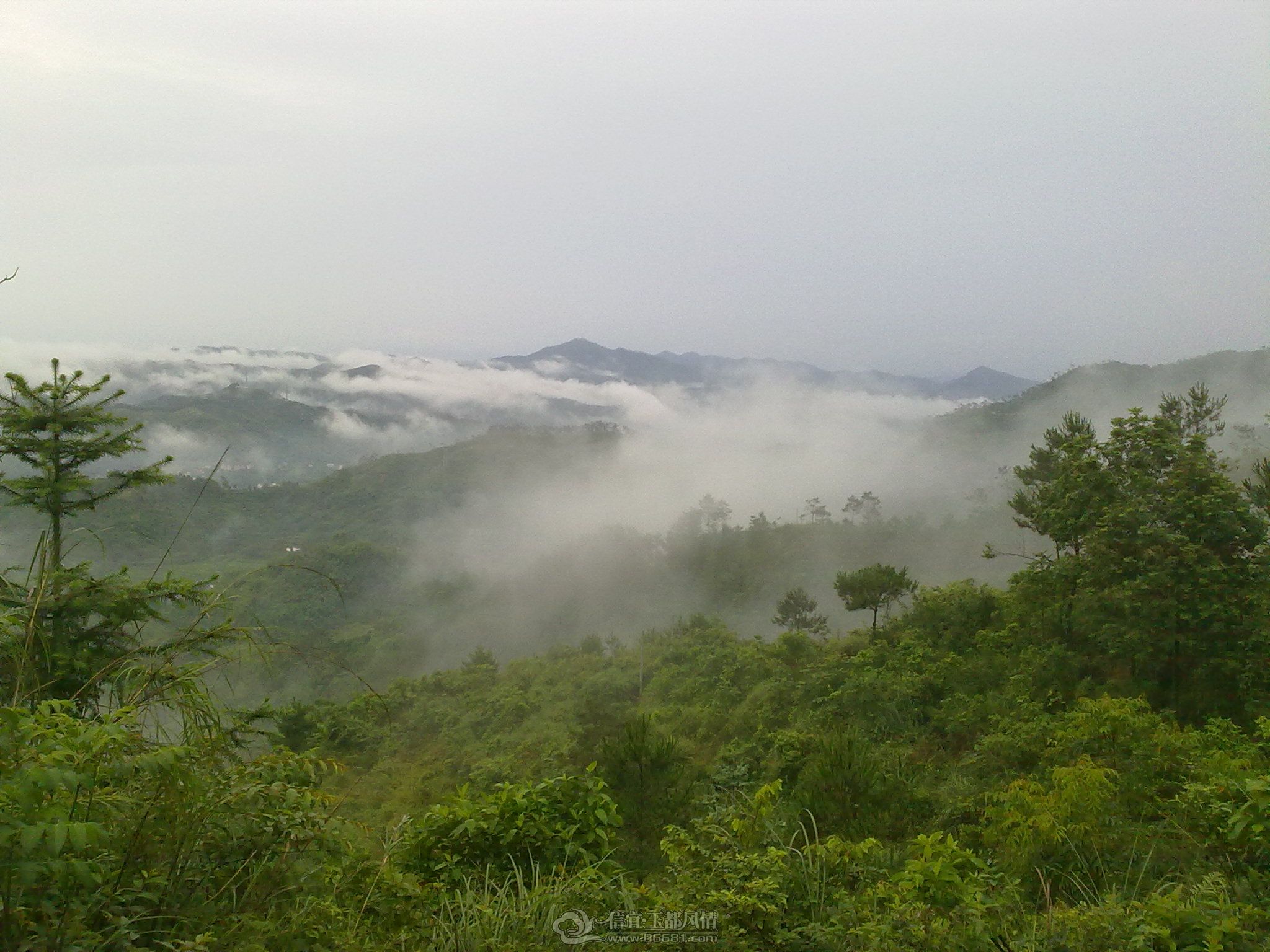 201006261157.jpg