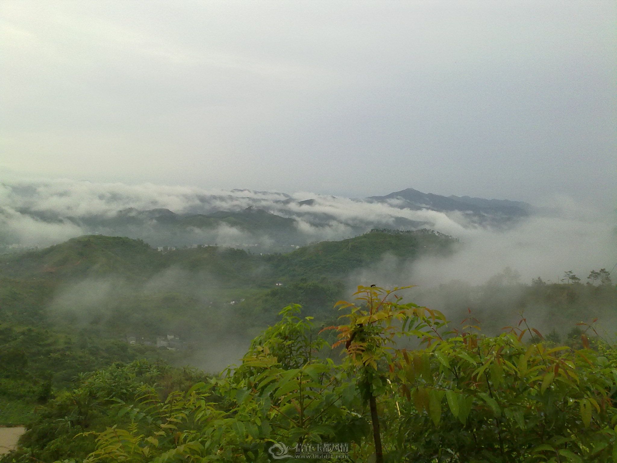 201006261158.jpg