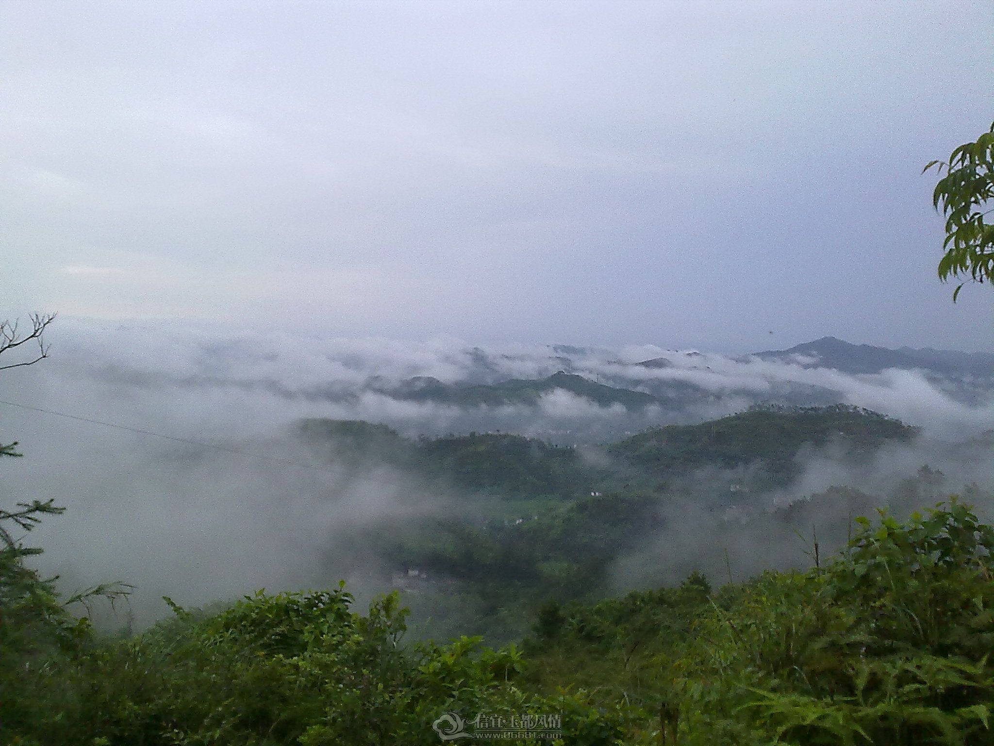 201006261173.jpg