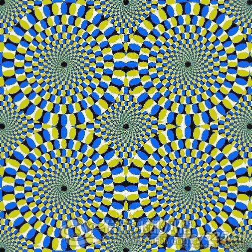 201032675322386.jpg