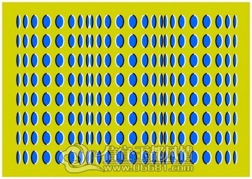 3616948876.jpg