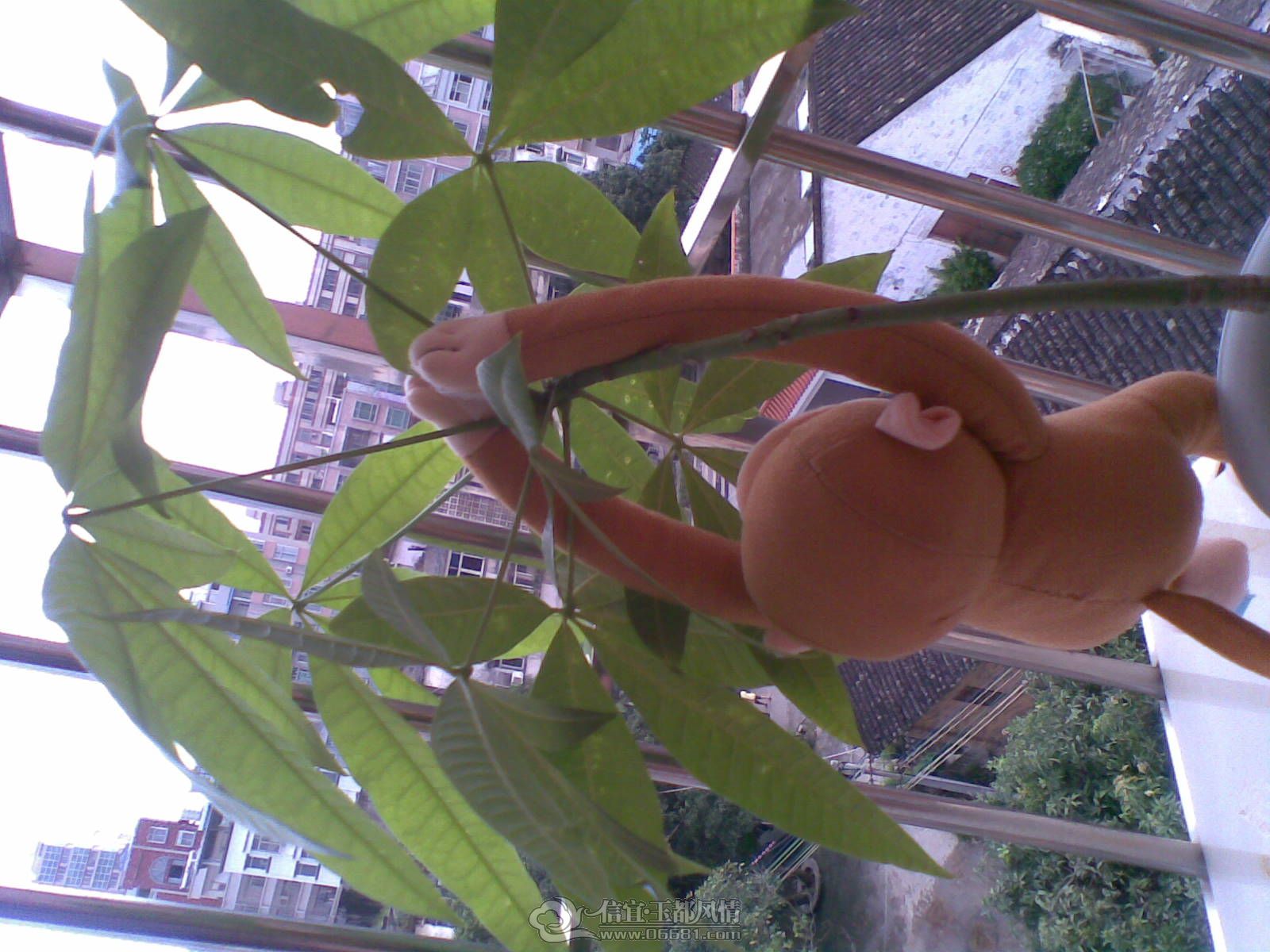 20120706(002).jpg