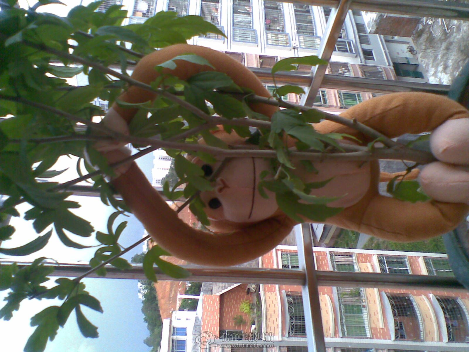 20120706(005).jpg